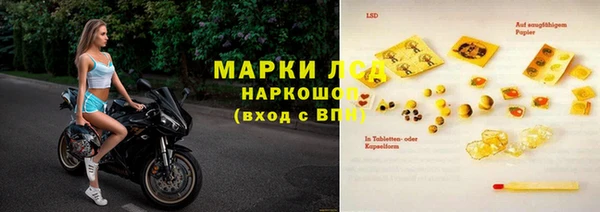 дмт Алзамай
