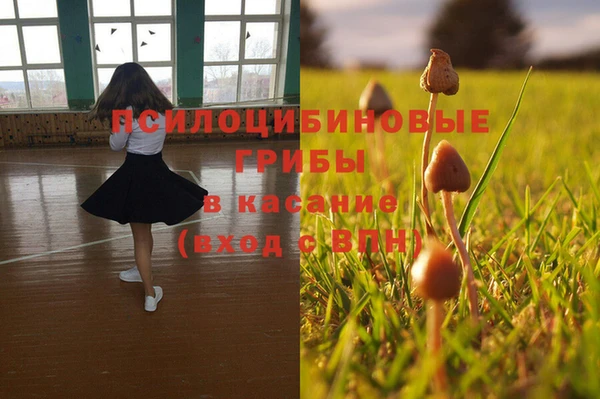 спиды Коряжма