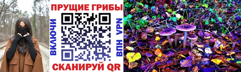 Галлюциногенные грибы мухоморы  Арсеньев 