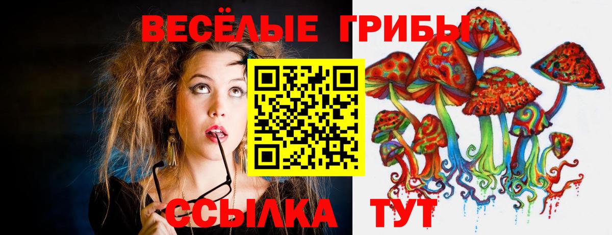 Галлюциногенные грибы Psilocybe  Псилоцибиновые грибы Psilocybine cubensis  Арсеньев  Вход с VPN 