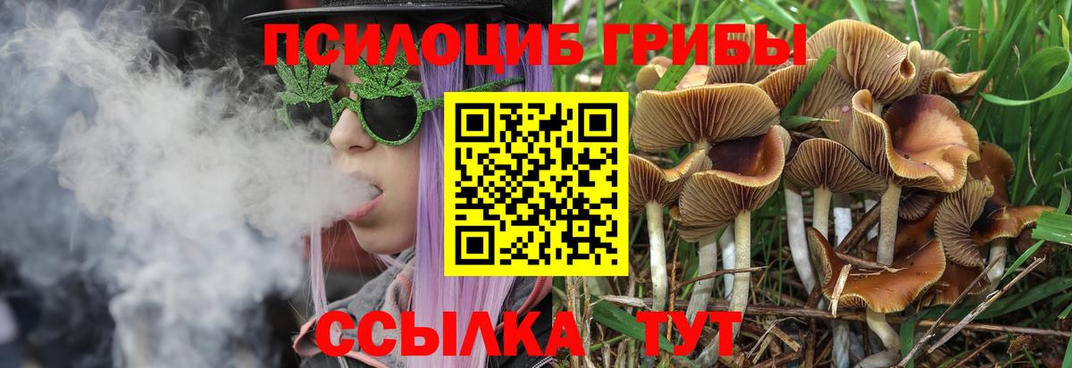 Псилоцибиновые грибы прущие грибы Арсеньев